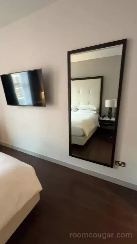 Deluxe King, Guest Room, 1 King bed picture #5
