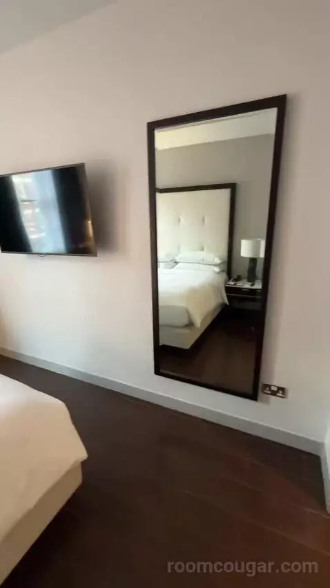 Deluxe King, Guest Room, 1 King bed picture #6