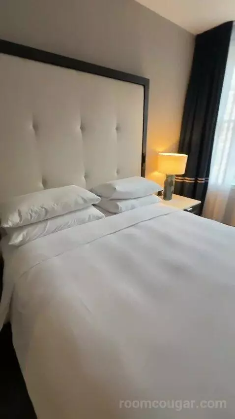 Deluxe King, Guest Room, 1 King bed picture #7
