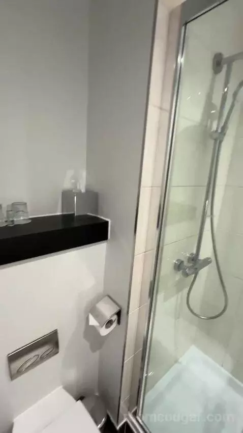 Deluxe King, Guest Room, 1 King bathroom picture #1