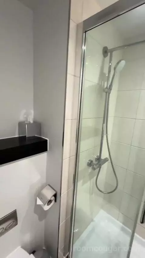 Deluxe King, Guest Room, 1 King bathroom picture #3