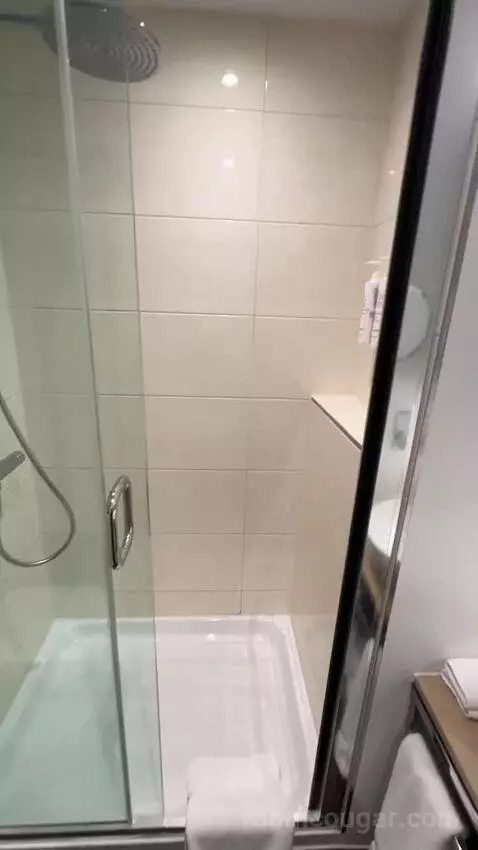 Deluxe King, Guest Room, 1 King bathroom picture #5