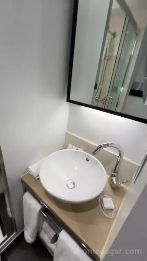 Deluxe King, Guest Room, 1 King bathroom picture #7