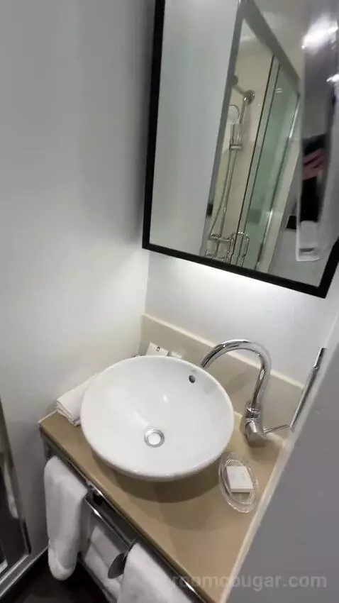 Deluxe King, Guest Room, 1 King bathroom picture #8