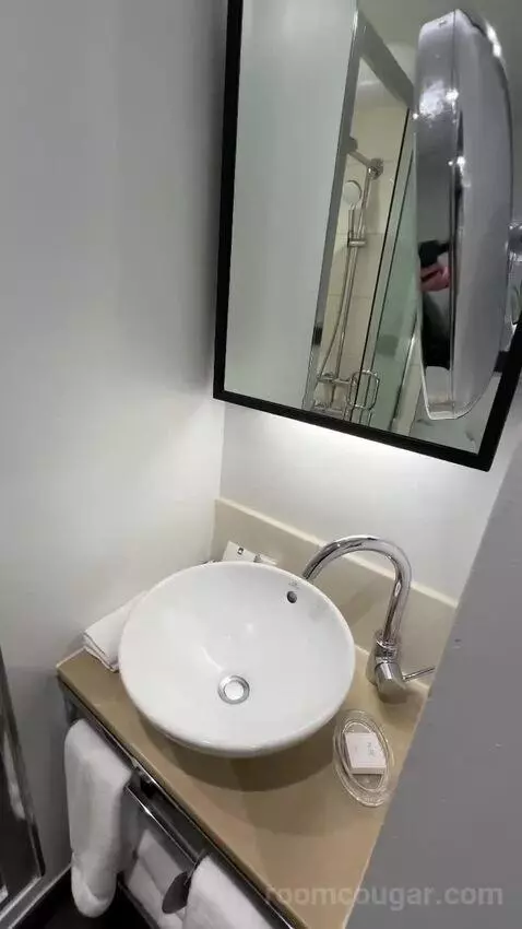 Deluxe King, Guest Room, 1 King bathroom picture #9
