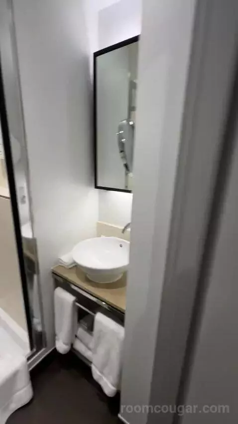 Deluxe King, Guest Room, 1 King bathroom picture #10