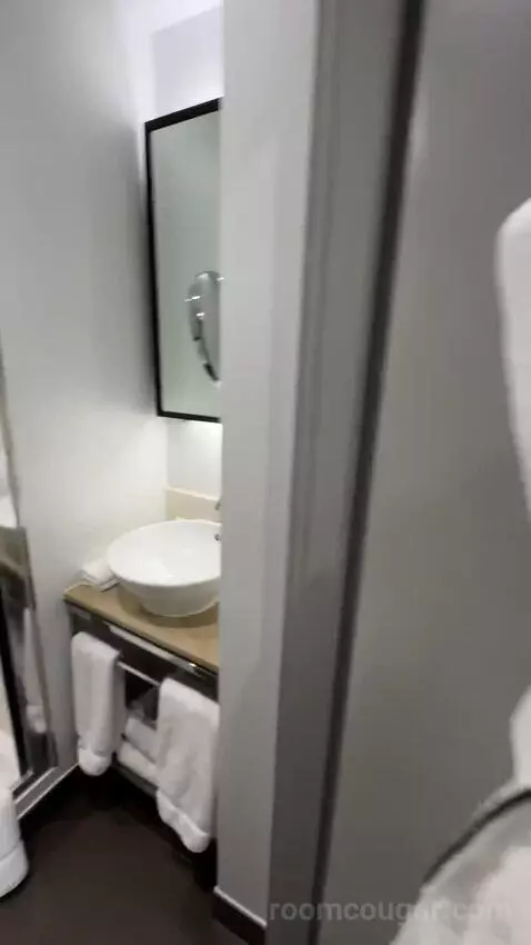 Deluxe King, Guest Room, 1 King bathroom picture #11