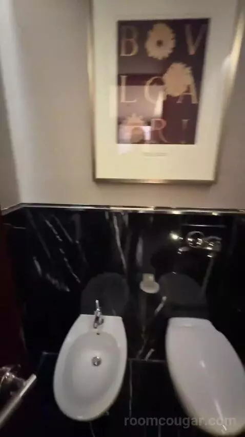 Superior King Room (#609) bathroom picture #6