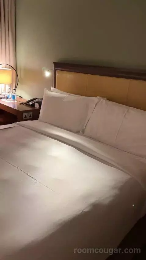 Superior King Room (#246) bed picture #10