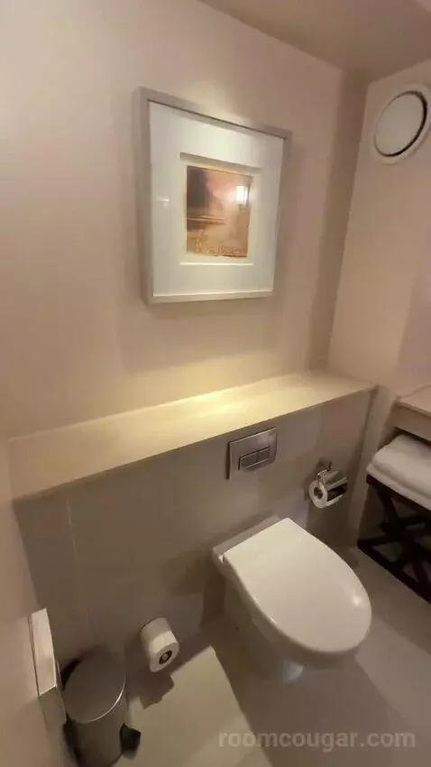Superior King Room (#246) bathroom picture #1