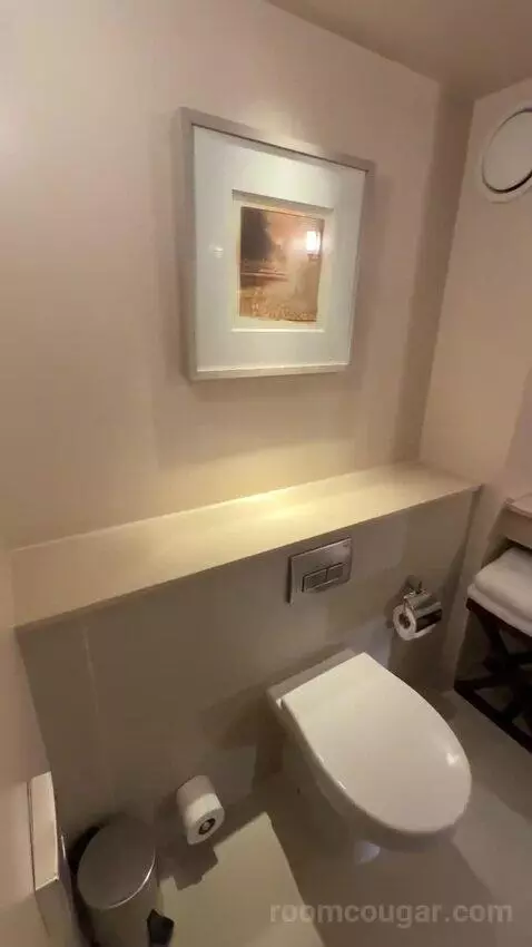 Superior King Room (#246) bathroom picture #2