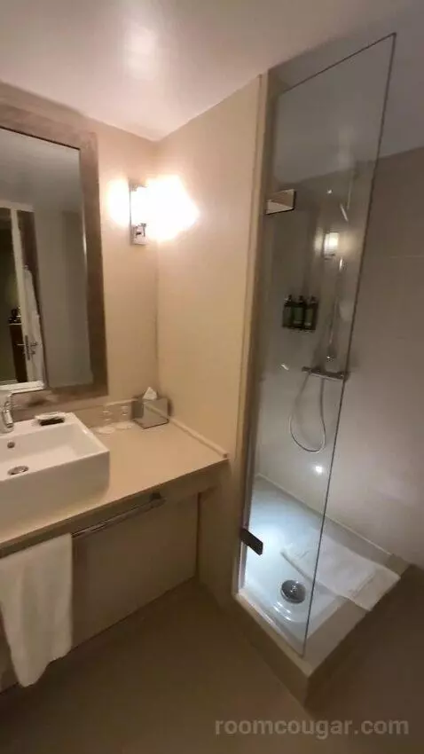 Superior King Room (#246) bathroom picture #4