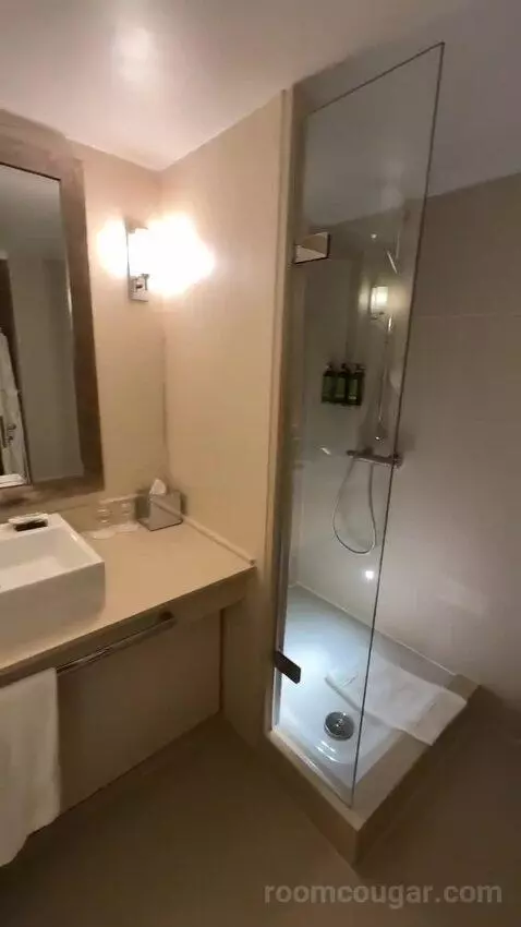 Superior King Room (#246) bathroom picture #5