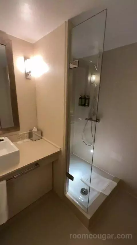 Superior King Room (#246) bathroom picture #6