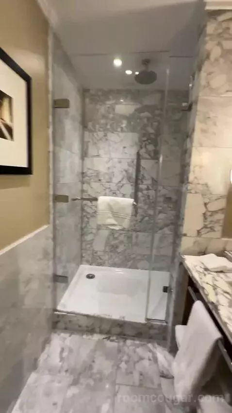 Grand Junior King Suite with Chambers Club Access (#180) bathroom picture #4