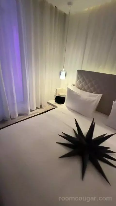 Spectacular Room, Guest Room, 1 King, City View (#605) bed picture #8