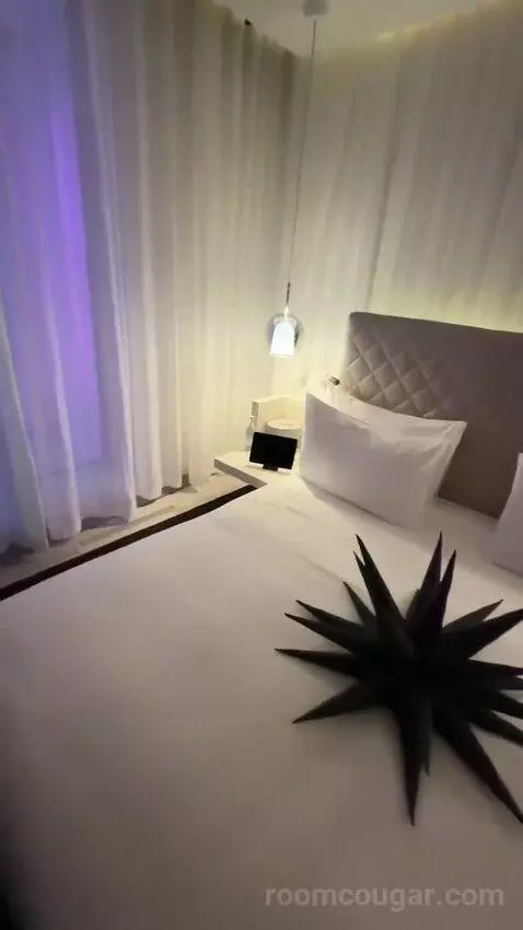 Spectacular Room, Guest Room, 1 King, City View (#605) bed picture #9