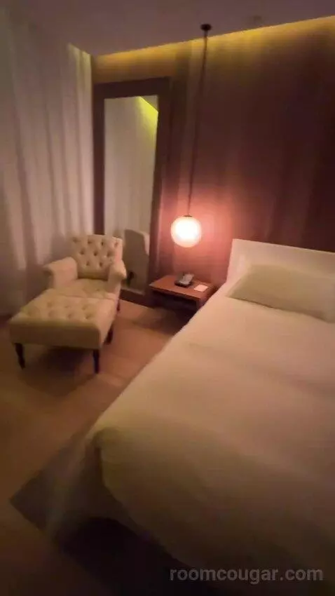 Deluxe King, Guest Room, 1 King bed picture #5