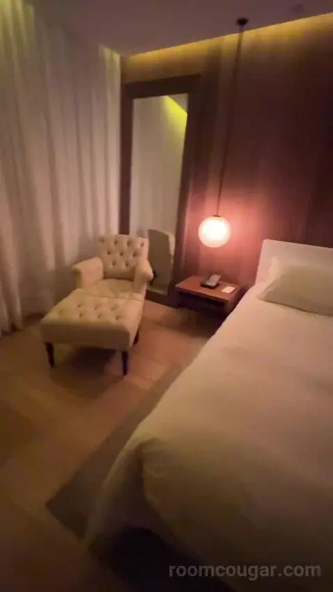 Deluxe King, Guest Room, 1 King bed picture #6