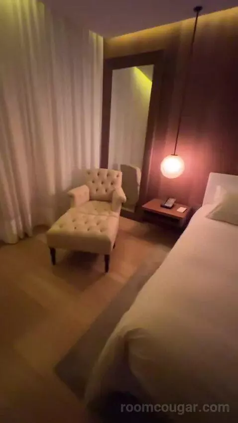 Deluxe King, Guest Room, 1 King bed picture #7