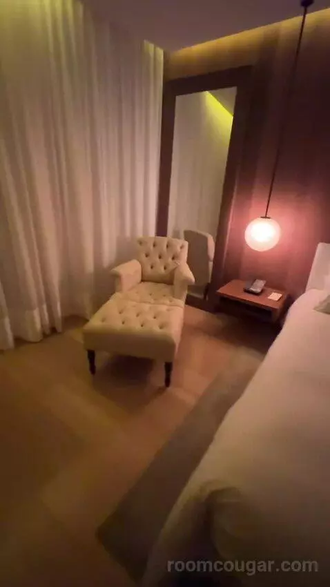 Deluxe King, Guest Room, 1 King bed picture #8