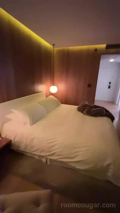 Deluxe King, Guest Room, 1 King bed picture #9