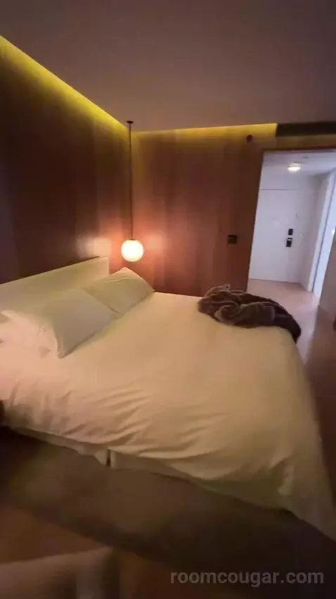 Deluxe King, Guest Room, 1 King bed picture #10