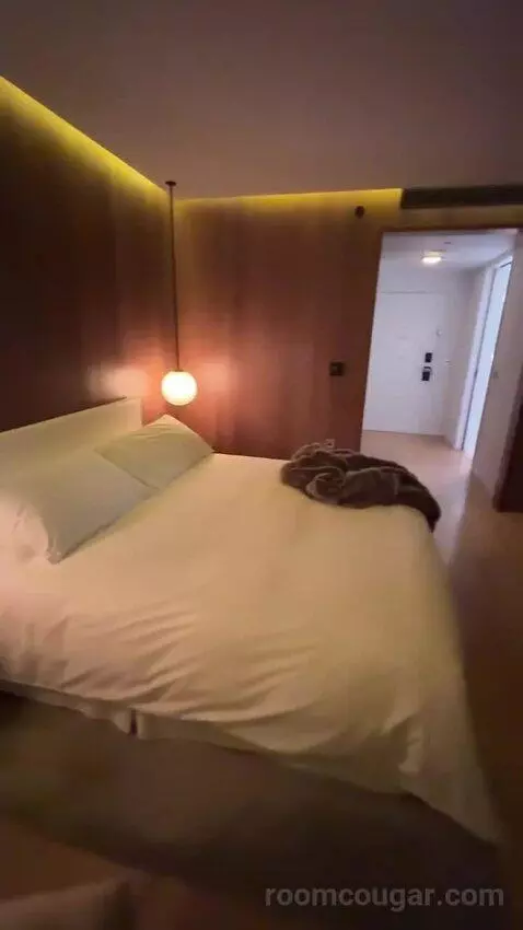 Deluxe King, Guest Room, 1 King bed picture #11