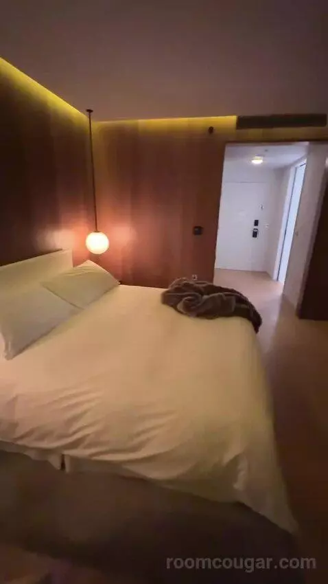 Deluxe King, Guest Room, 1 King bed picture #12
