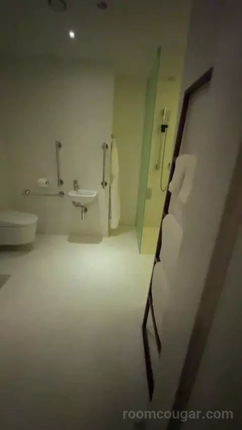 Deluxe King, Guest Room, 1 King bathroom picture #1