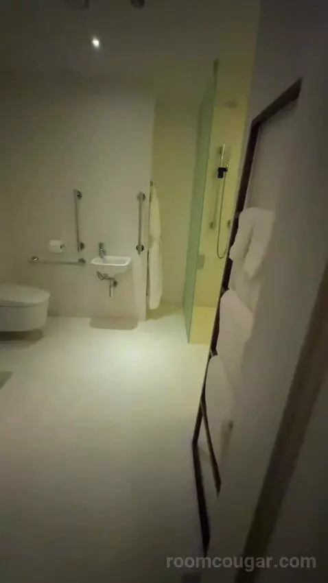 Deluxe King, Guest Room, 1 King bathroom picture #2