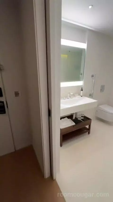 Deluxe King, Guest Room, 1 King bathroom picture #3