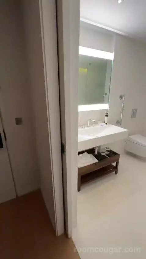 Deluxe King, Guest Room, 1 King bathroom picture #4