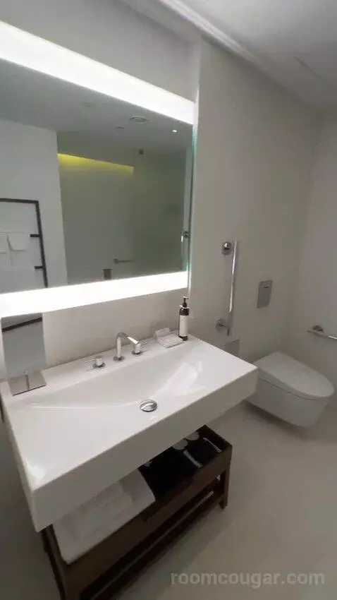 Deluxe King, Guest Room, 1 King bathroom picture #5