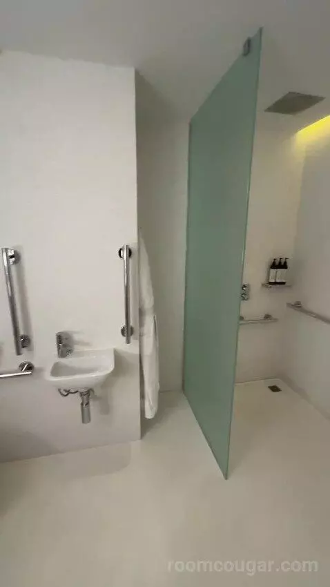 Deluxe King, Guest Room, 1 King bathroom picture #7