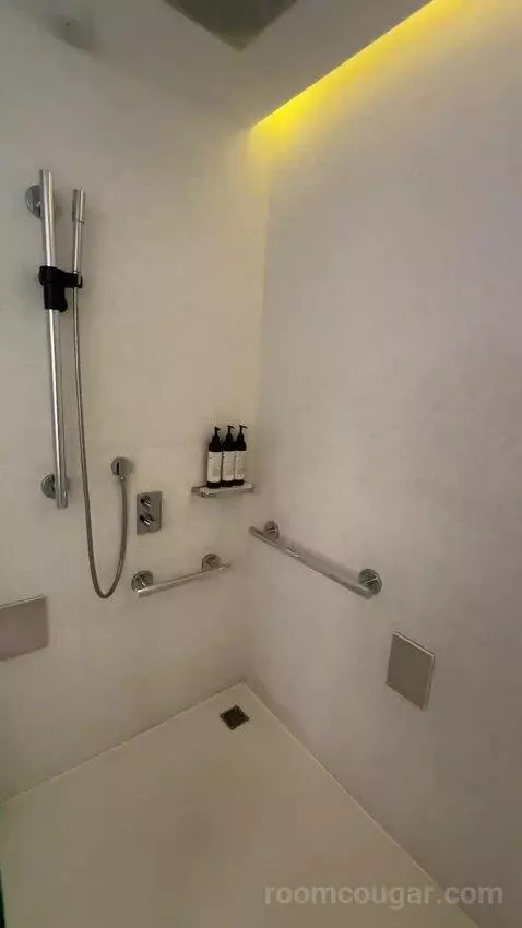 Deluxe King, Guest Room, 1 King bathroom picture #9