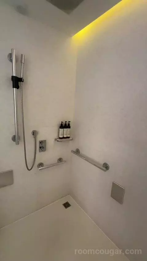 Deluxe King, Guest Room, 1 King bathroom picture #10