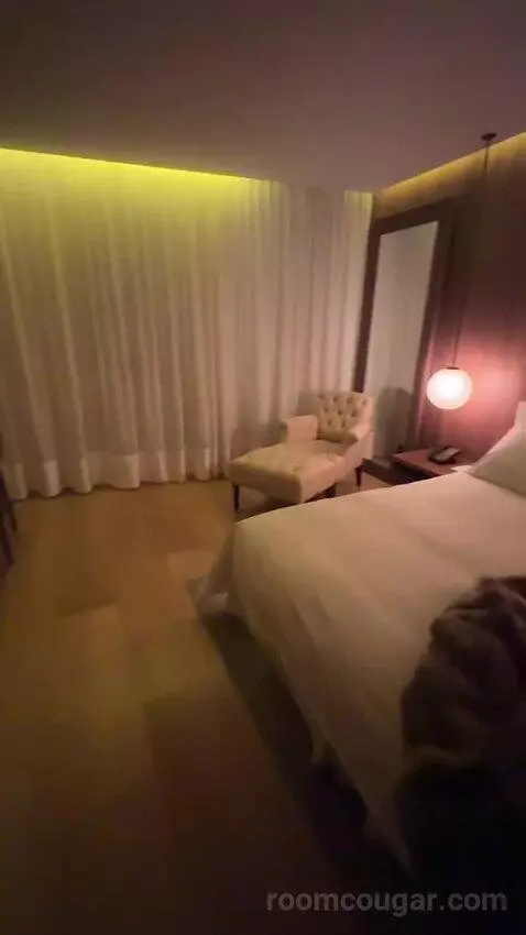 Deluxe King, Guest Room, 1 King bed picture #2