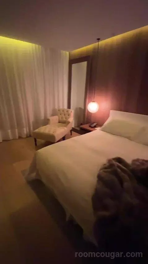 Deluxe King, Guest Room, 1 King bed picture #4