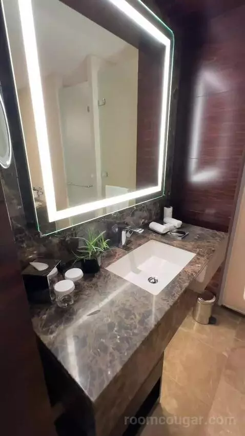 Junior Suite - Lounge Access (#345) bathroom picture #1