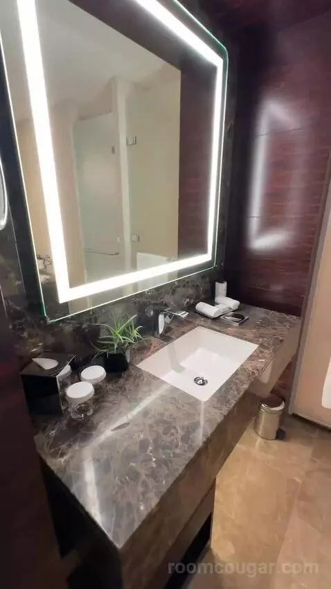 Junior Suite - Lounge Access (#345) bathroom picture #2