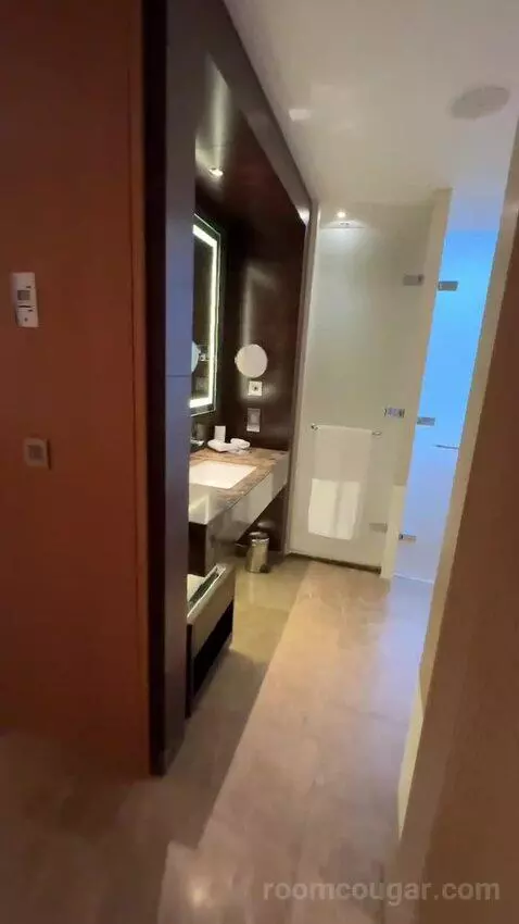 Deluxe King Room (#353) bathroom picture #2