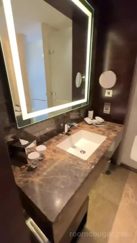 Deluxe King Room (#353) bathroom picture #5
