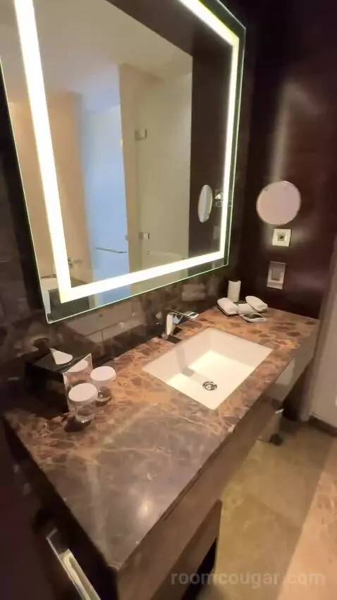 Deluxe King Room (#353) bathroom picture #6