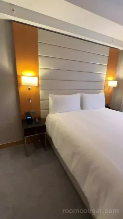 Deluxe King Room (#353) bed picture #1