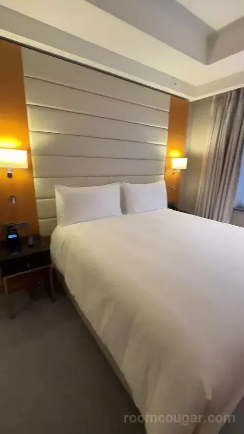 Deluxe King Room (#353) bed picture #3