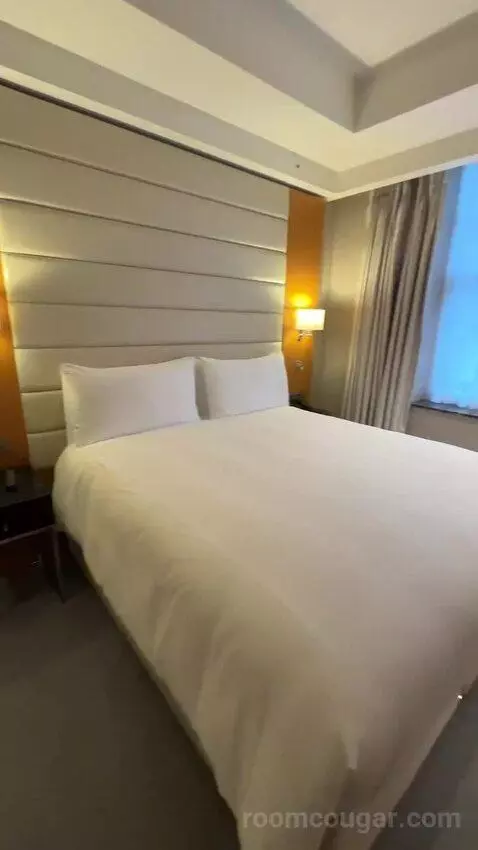 Deluxe King Room (#353) bed picture #4