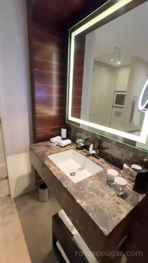 Deluxe Twin Room (#240) bathroom picture #1