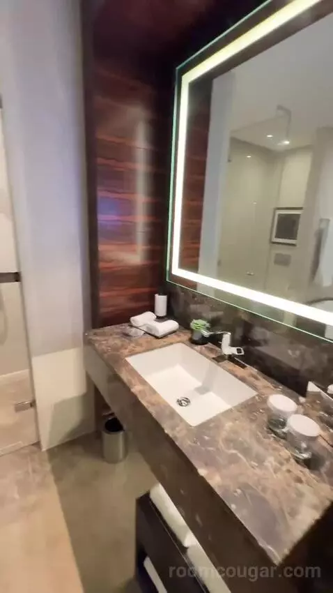 Deluxe Twin Room (#240) bathroom picture #2