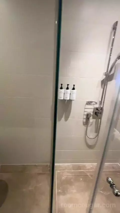 Deluxe Twin Room (#240) bathroom picture #7